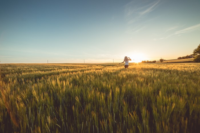 Woman in a field at sunset