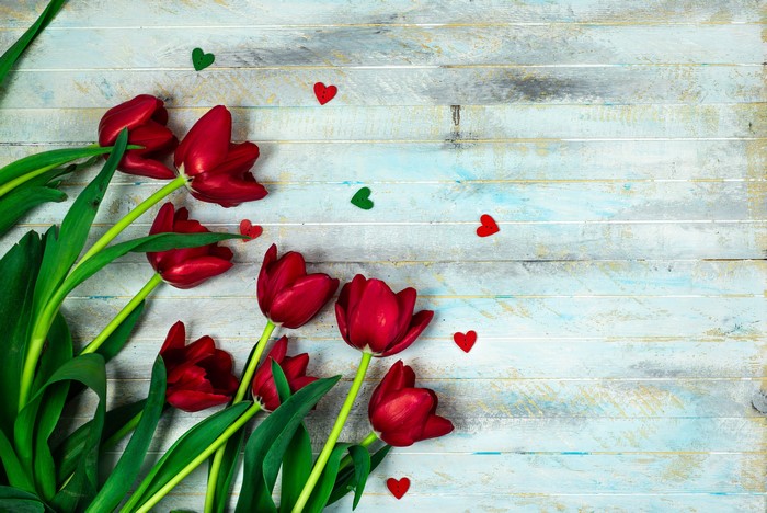 Red Tulips and Hearts on Wood Planks