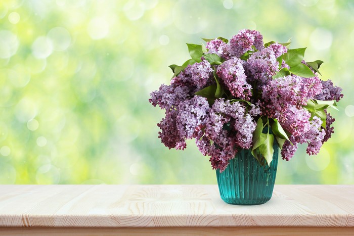 4K Vibrant Lilac Bouquets in Vase