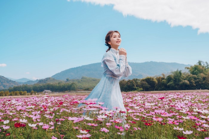 Woman in a blue dress in a field of cosmos flowers
