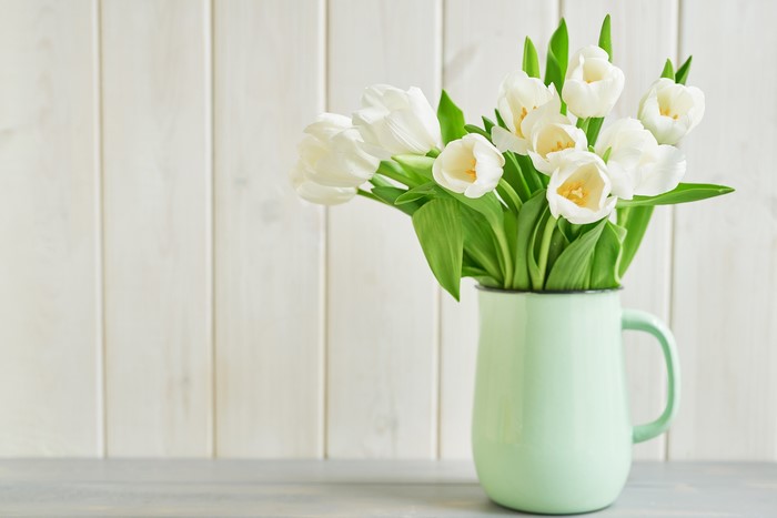 White Tulips in a Jug Container