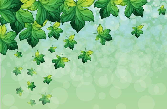 Green leaves falling on a bokeh background