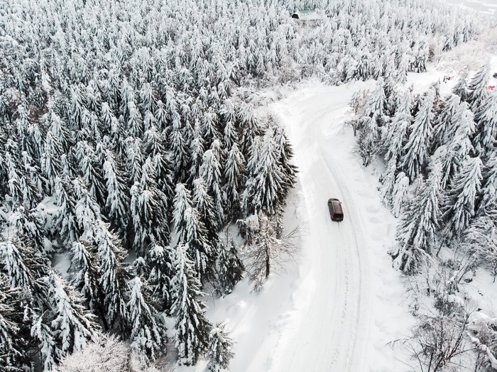 Car driving on a snowy road through a forest