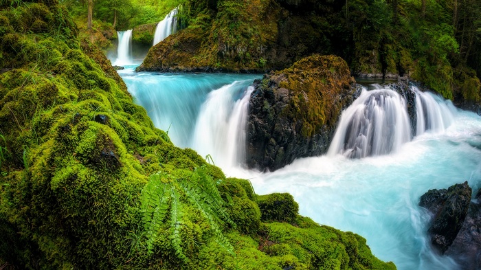 Mossy rocks and waterfalls in a forest