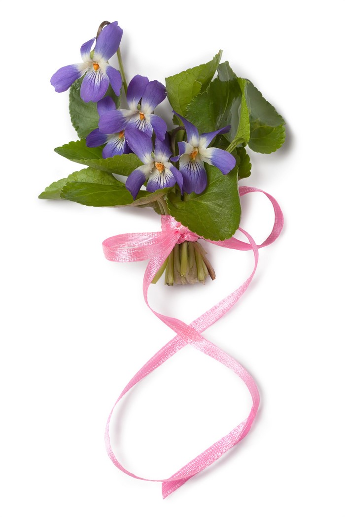 Bouquet of Violets Tied with Pink Ribbon