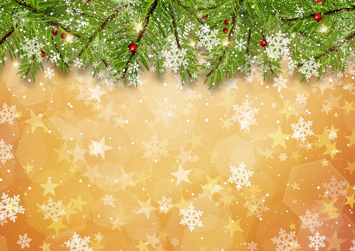 Christmas Pine Branches with Snowflakes and Stars