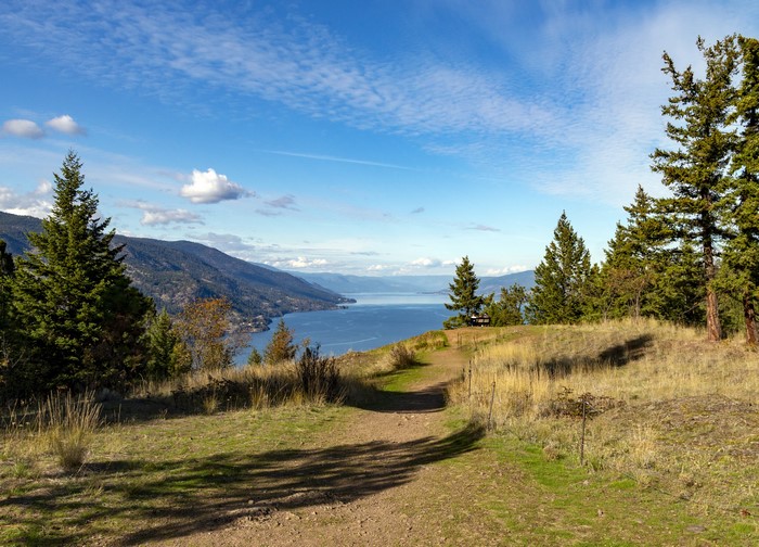 Scenic view of a lake and mountains from a hiking trail