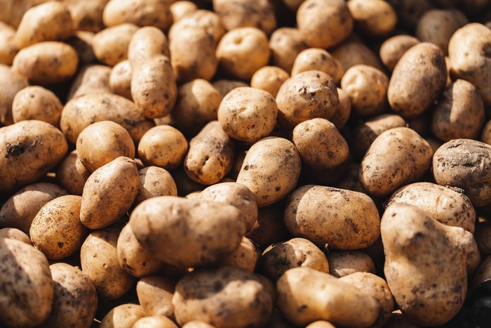 Many Potatoes Closeup