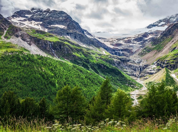 Morteratsch Glacier, Switzerland Mountains and Forests