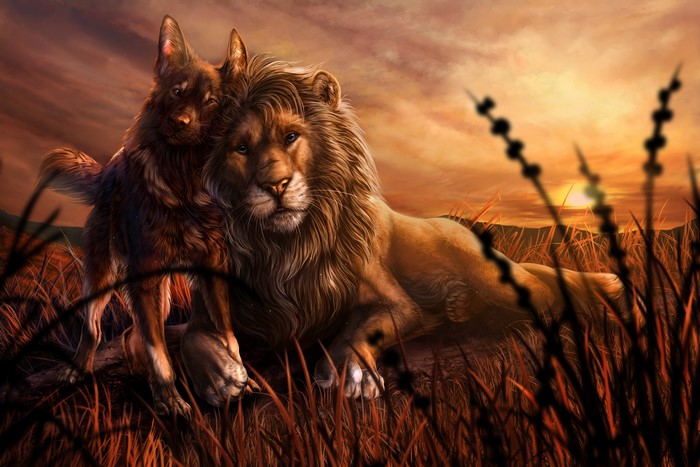 Lion and dog resting at sunset