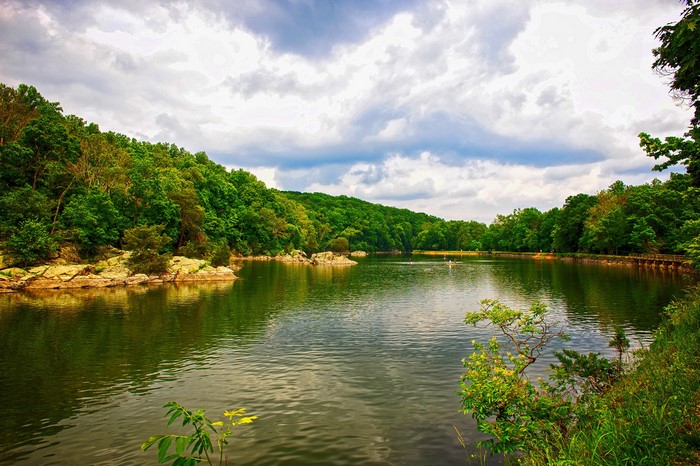 Lake surrounded by forest in Columbia, Maryland
