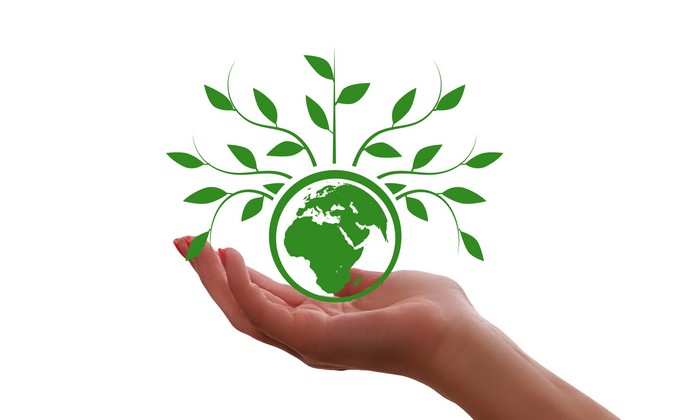 Hand holding Earth with growing plants