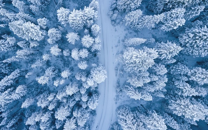 Aerial view of a snow-covered forest with a road