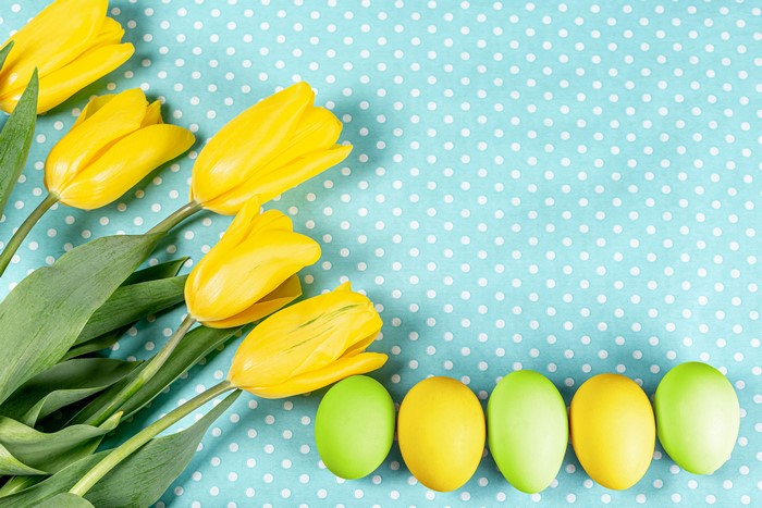 Yellow Tulips and Easter Eggs on Polka Dot Background