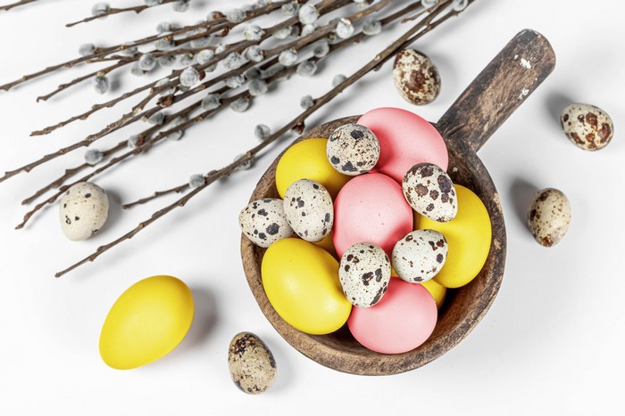 Easter eggs and pussy willow branches