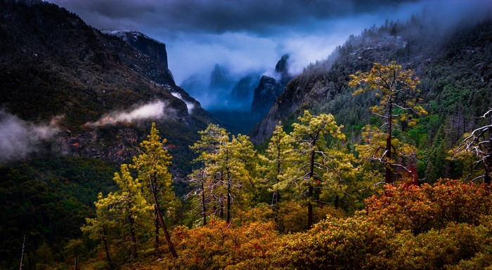 Yosemite Valley Mountains and Trees in Fog