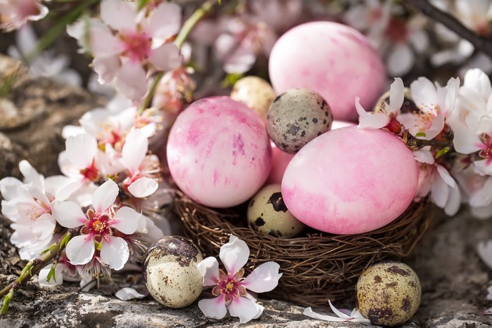 Easter Eggs in a Nest with Almond Blossoms