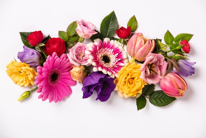 Roses, Tulips, and Gerberas on White Background