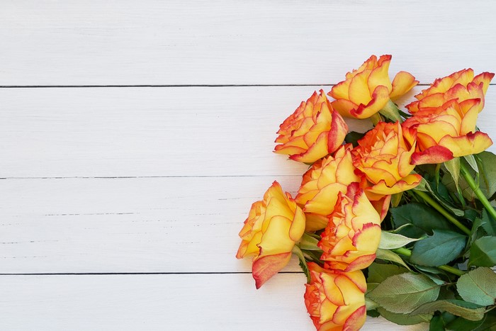 Yellow and orange roses on white wood planks