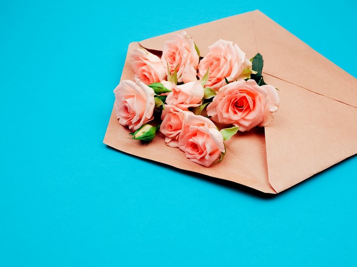 Pink Roses in a Brown Envelope on a Blue Background