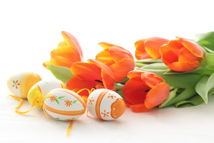 Easter Eggs and Orange Tulips on White Background