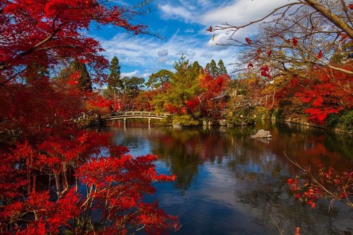 Autumn foliage over a pond with a bridge in Kyoto, Japan