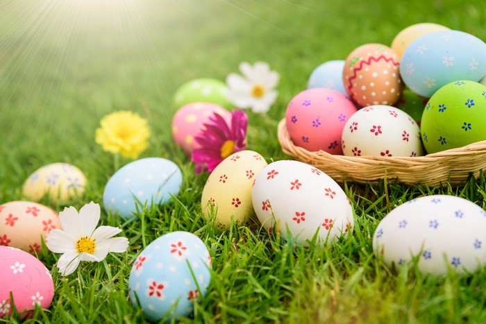 Easter Eggs on Green Grass with Flowers