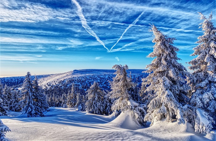 4K Winter Forest Mountains Scenery in Czech Republic