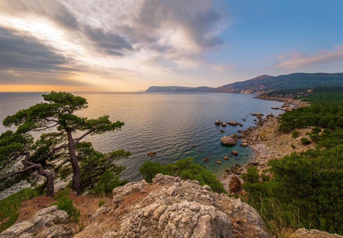 4K Crimea Coast Sea Crag Trees