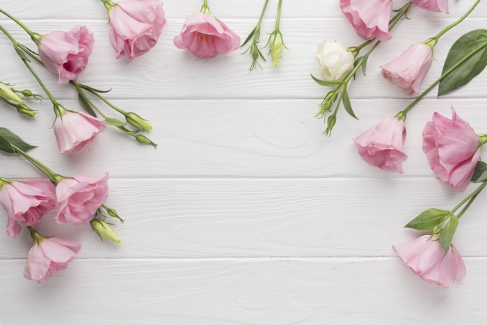 Pink and White Eustoma Flowers on White Wood Planks