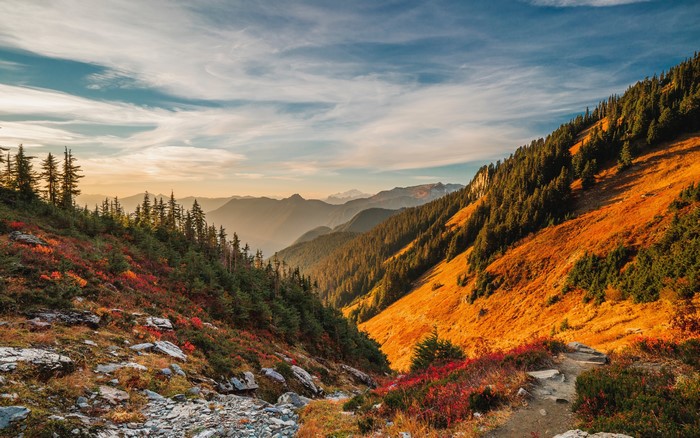 Autumn Mountain Valley with Trees and Sky