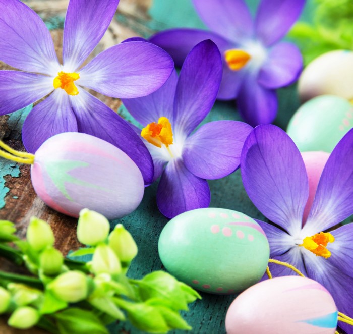 Easter Crocuses and Decorated Eggs on Wood
