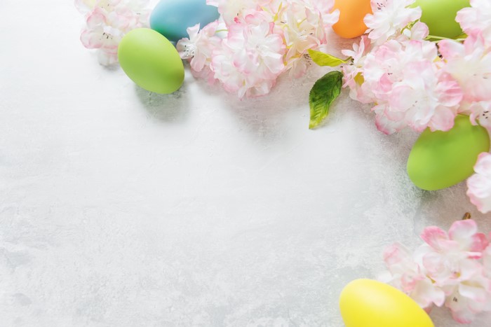 Easter eggs and pink flowers on a light background