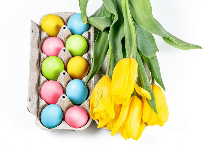 Easter eggs in a carton with yellow tulips