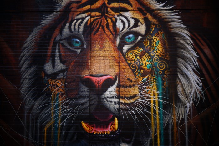 Graffiti of a tiger's head on a brick wall