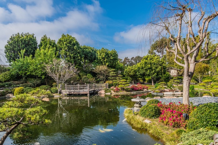 Earl Burns Miller Japanese Garden Pond with Bridge and Koi