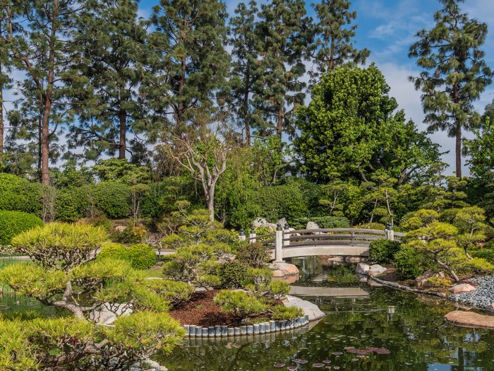 Japanese Garden with Bridge and Pond