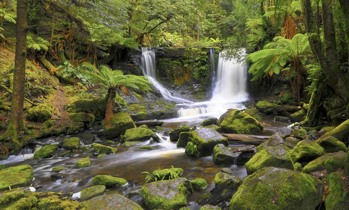 Horseshoe Falls in Tasmania Forest