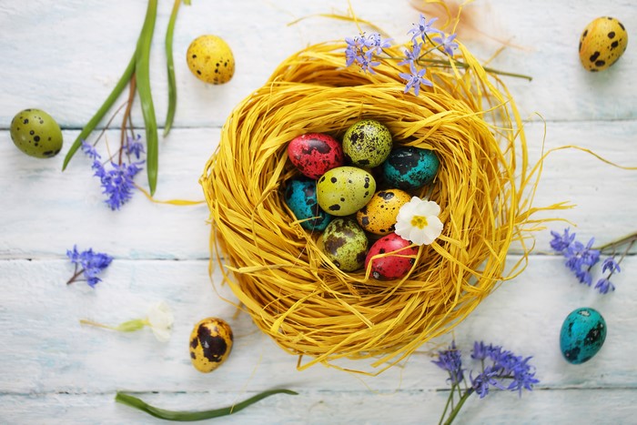 Easter Nest with Multicolor Eggs and Flowers