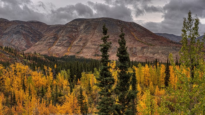 Autumn mountain landscape with yellow and green trees