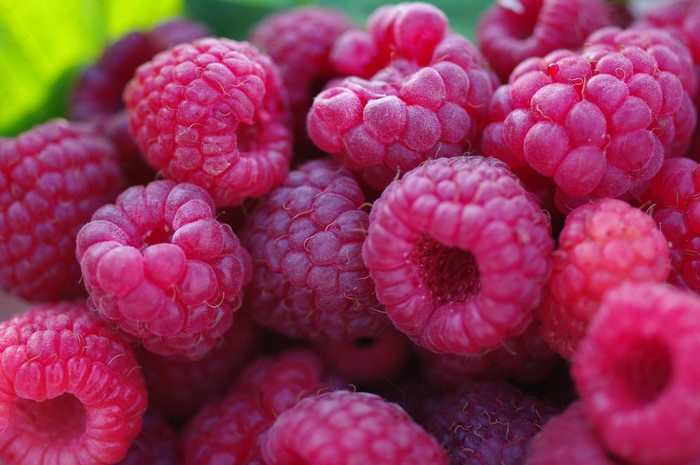Close-up of fresh raspberries