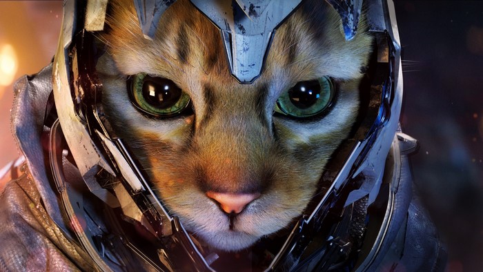 Cat wearing a futuristic helmet