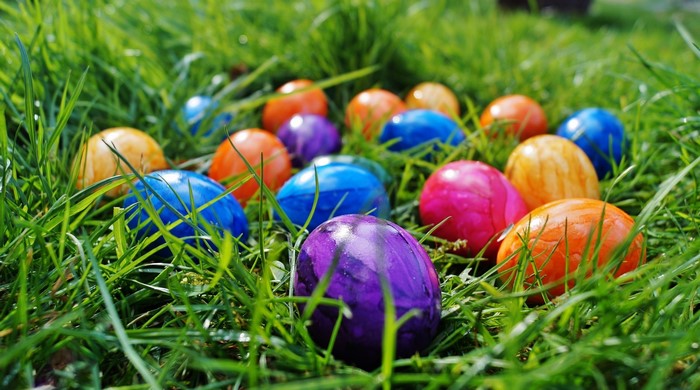 Colorful Easter Eggs in Green Grass