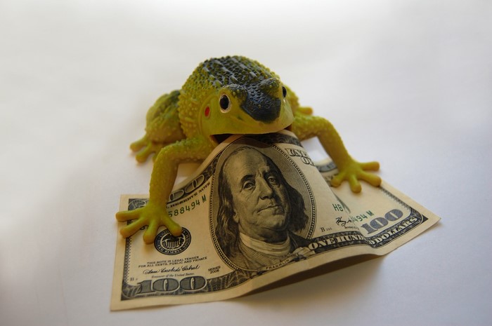 Toy frog on a 100 dollar bill