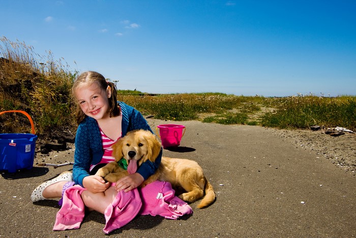 Girl with Golden Retriever Puppy on Beach