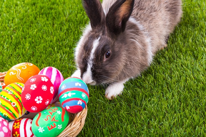 Easter bunny with decorated eggs on grass