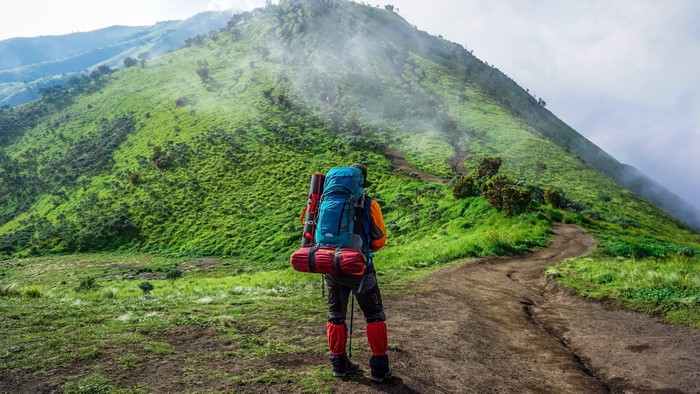 Hiker with Backpack on Mountain Trail