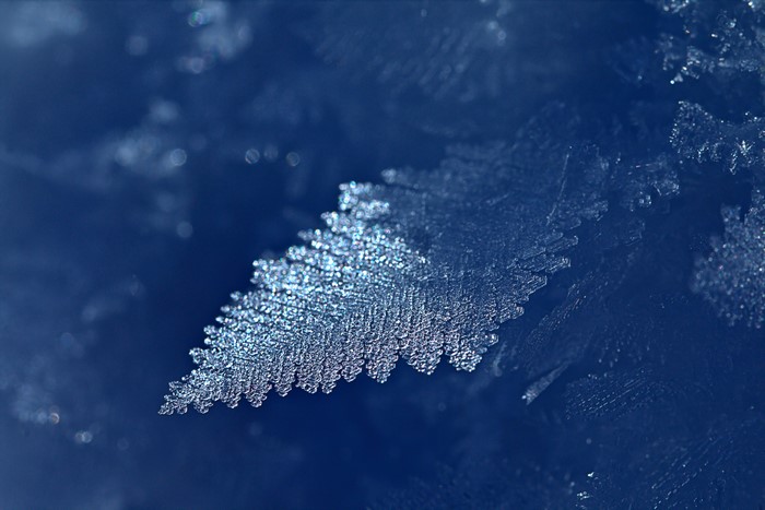 Closeup of frost crystals on a blue background