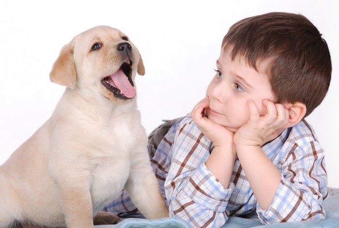 Puppy and Boy on White Background