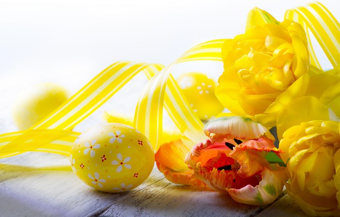 Easter Tulips and Ribbon with Eggs